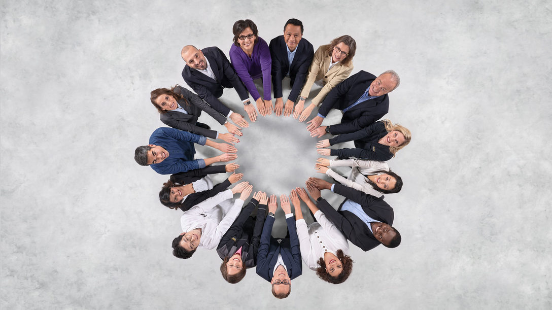 Diversity as a factor of success